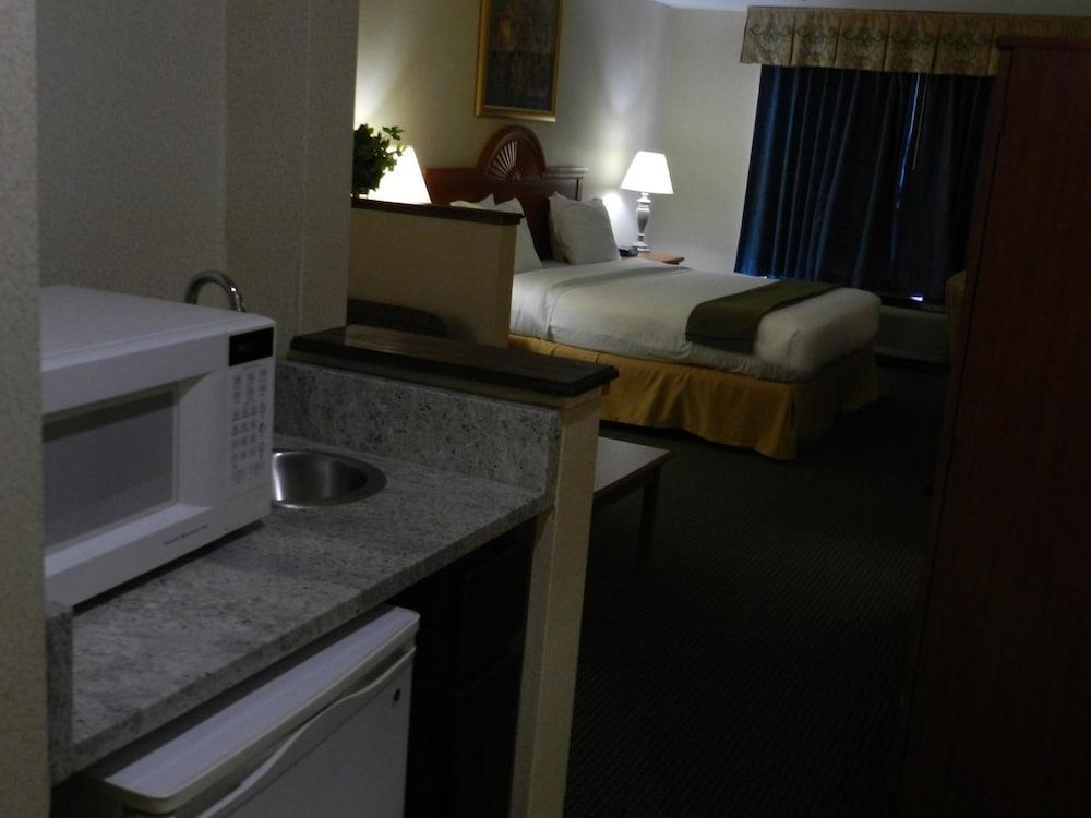 Holiday Inn Express Anderson I-85 - Exit 27- Highway 81, An Ihg Hotel Room photo